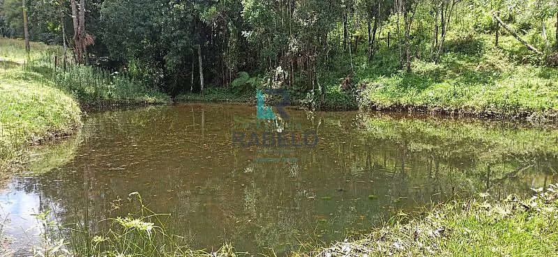 SÍTIO FORMADO PRÓXIMO AO PARQUE DA SERRA DO MAR EM CUNHA-SP - Foto 3