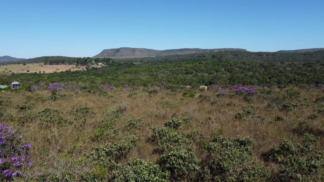 Foto - Brasília - Setor Habitacional Jardim Botânico