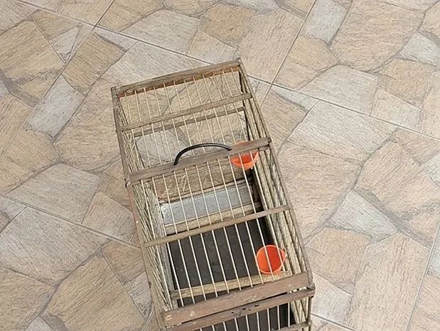 Gaiola - Foto 2