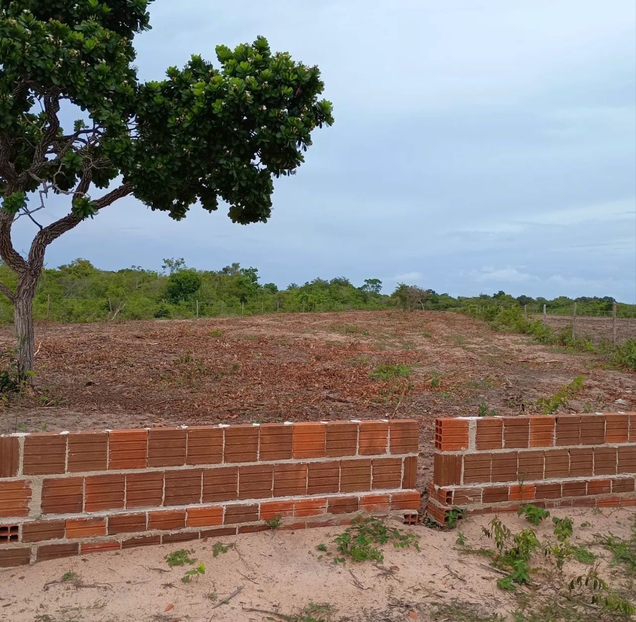 Terreno 5500m2 Lagoa do paraíso Jericoacoara  - Foto 3