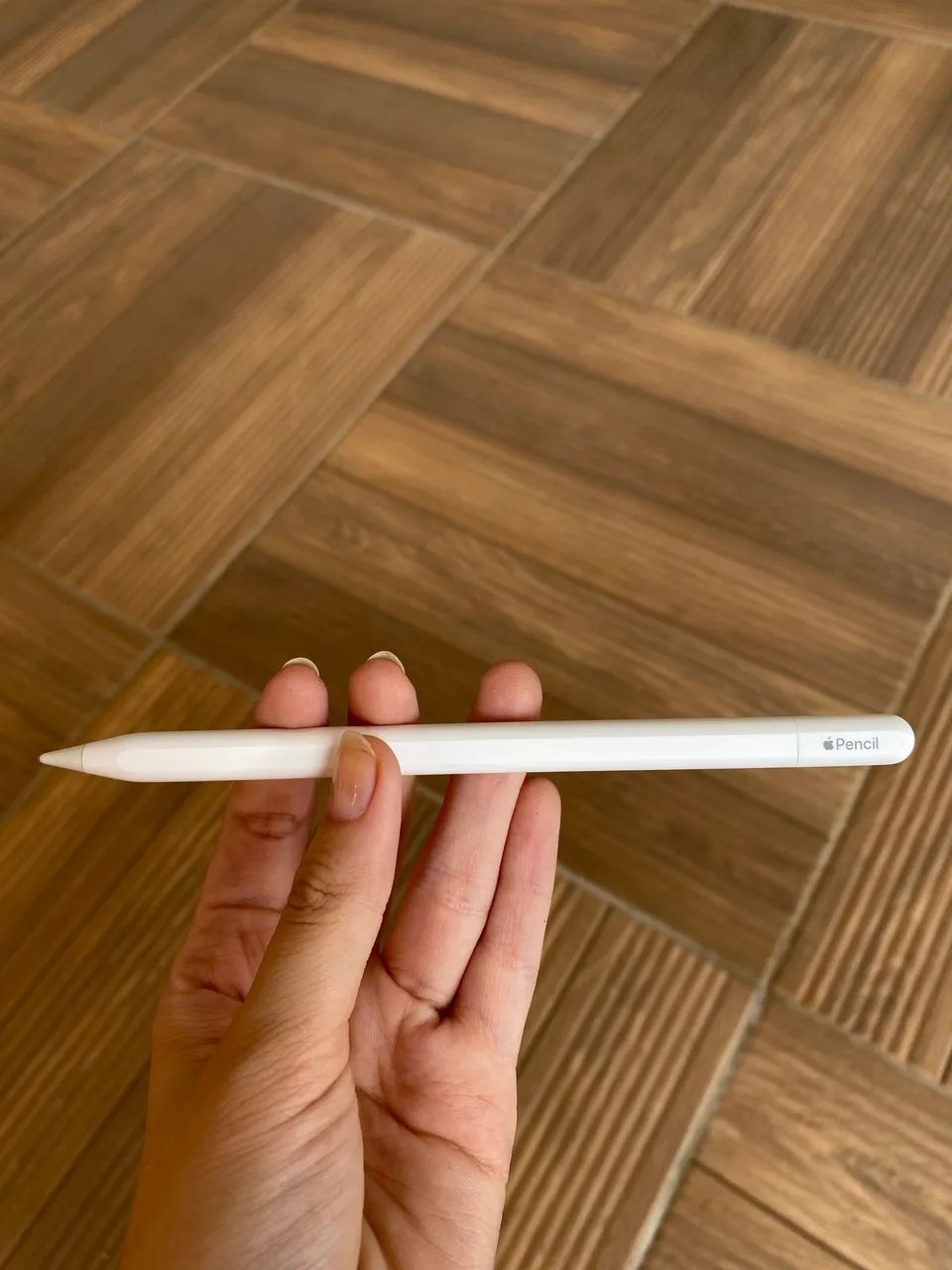 Apple Pencil Usb-c Nova na caixa