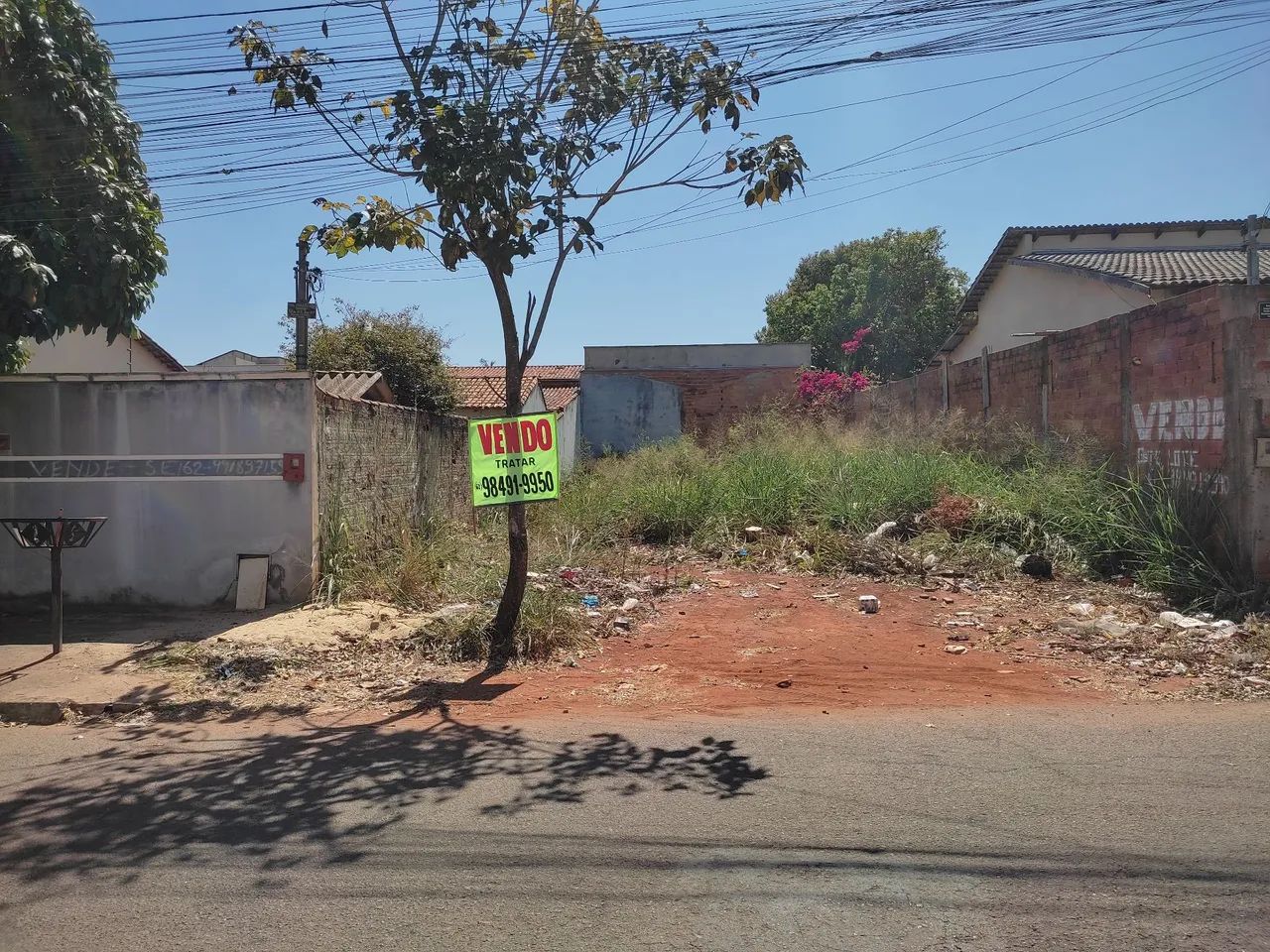 LOTE - Foto 2