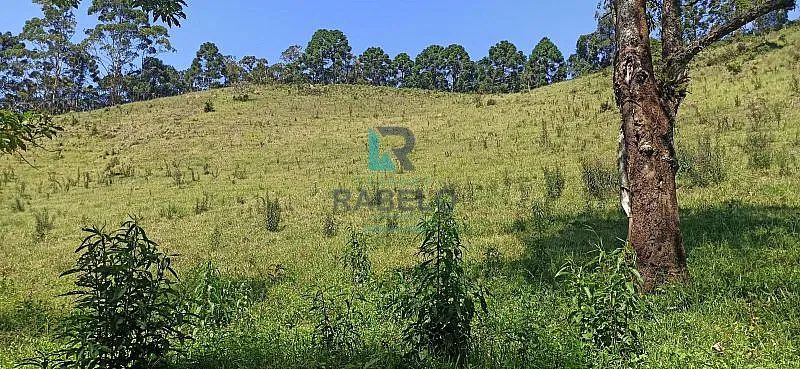 SÍTIO FORMADO PRÓXIMO AO PARQUE DA SERRA DO MAR EM CUNHA-SP - Foto 4