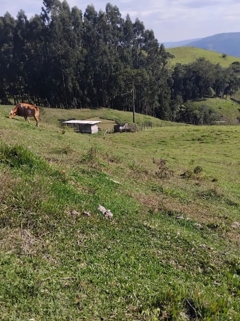 Sítio em Alfredo Wagner  - Foto 5