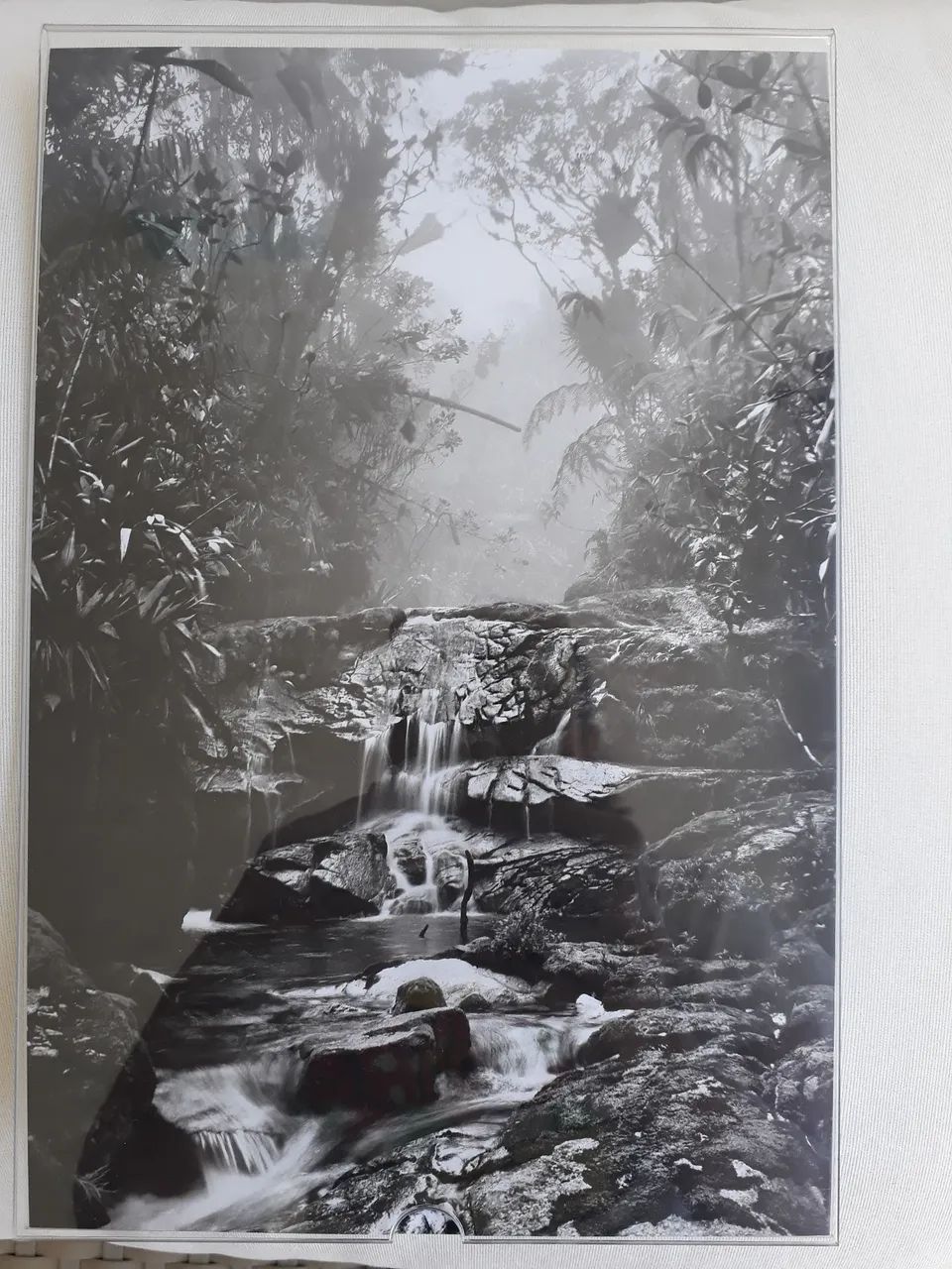Foto Sebastião Salgado Floresta de Altitude com certificado - Foto 5