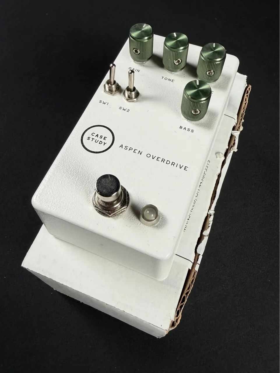 Case Study Aspen White 