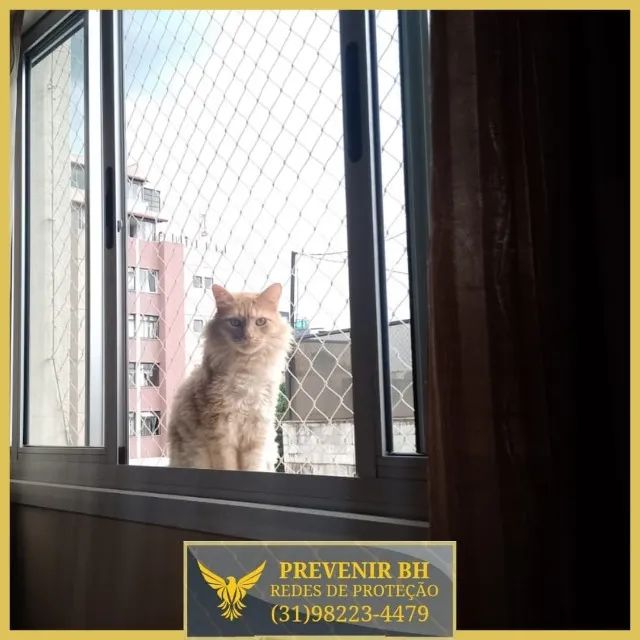 rede proteção para gatos