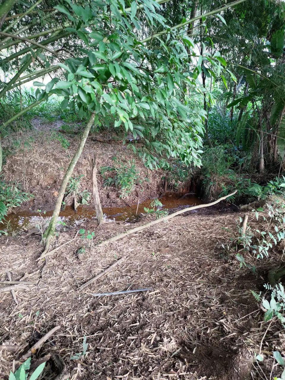 Sítio e chácaras à venda - Foto 5