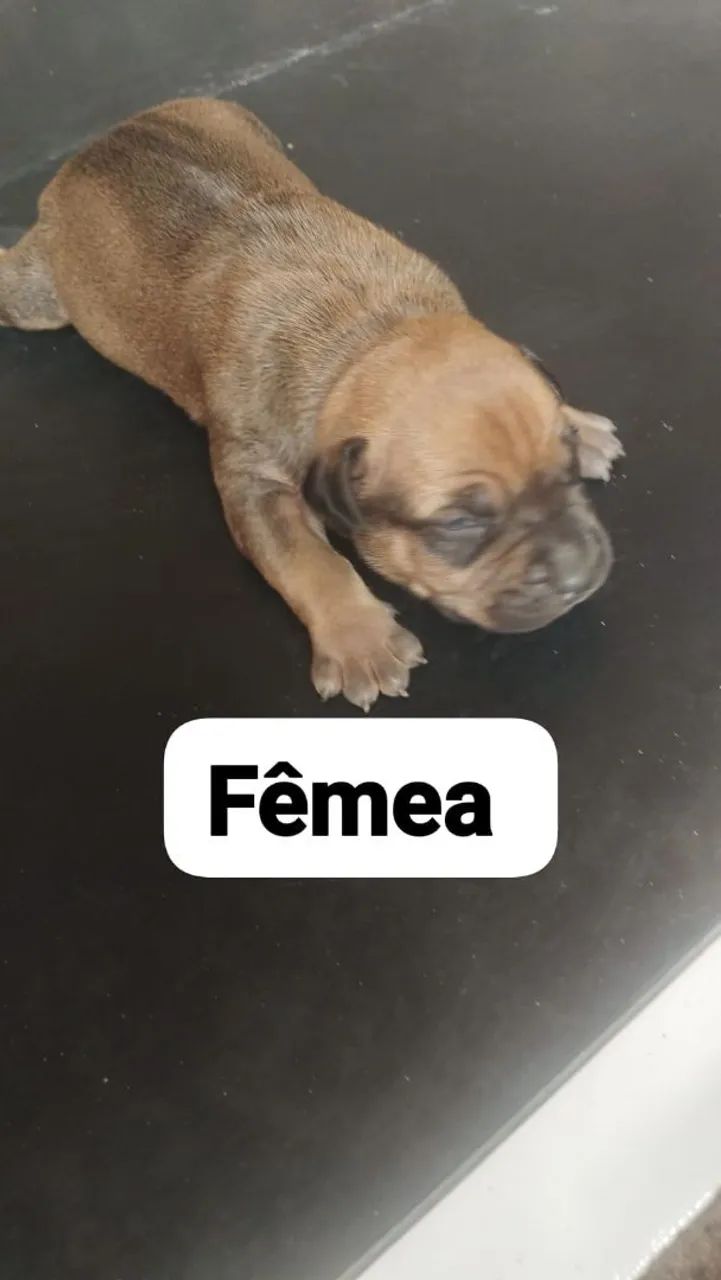 Vendo - Foto 4