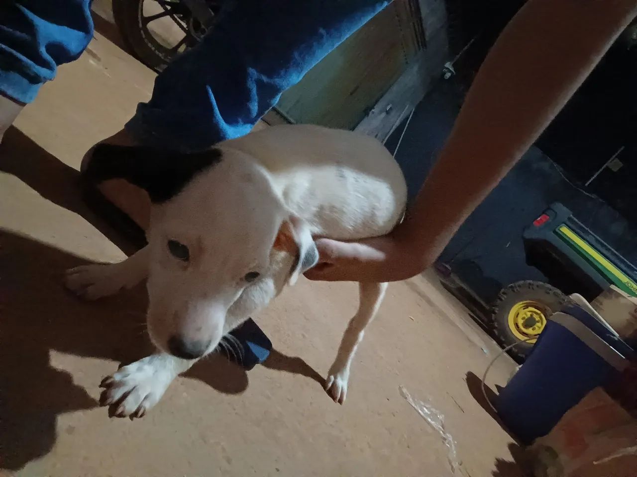 Doação  - Foto 2