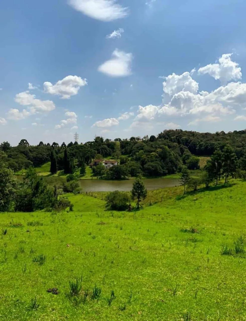 Foto - São José dos Pinhais - Centro