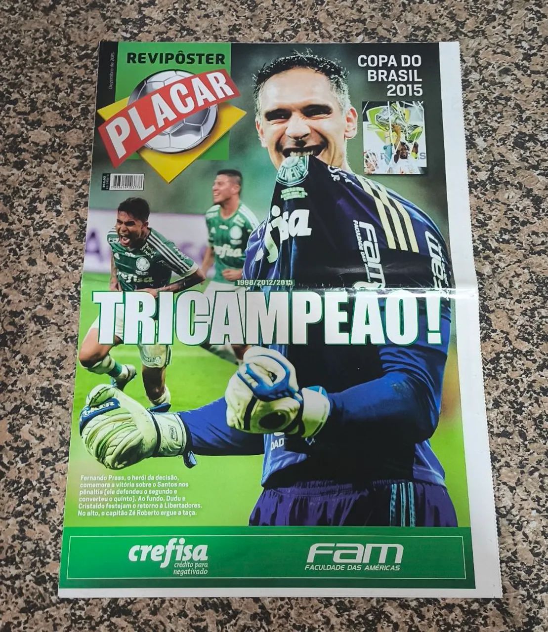 Poster Palmeiras Copa do Brasil 2015