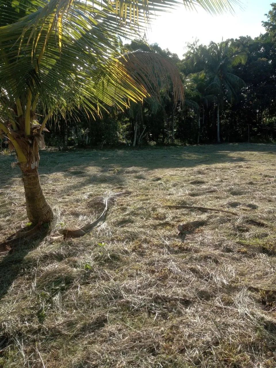 Terreno com sítio e casa em construção! - Foto 3