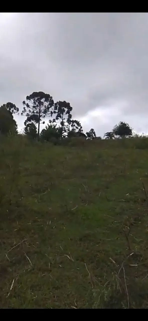 Lindo sítio 