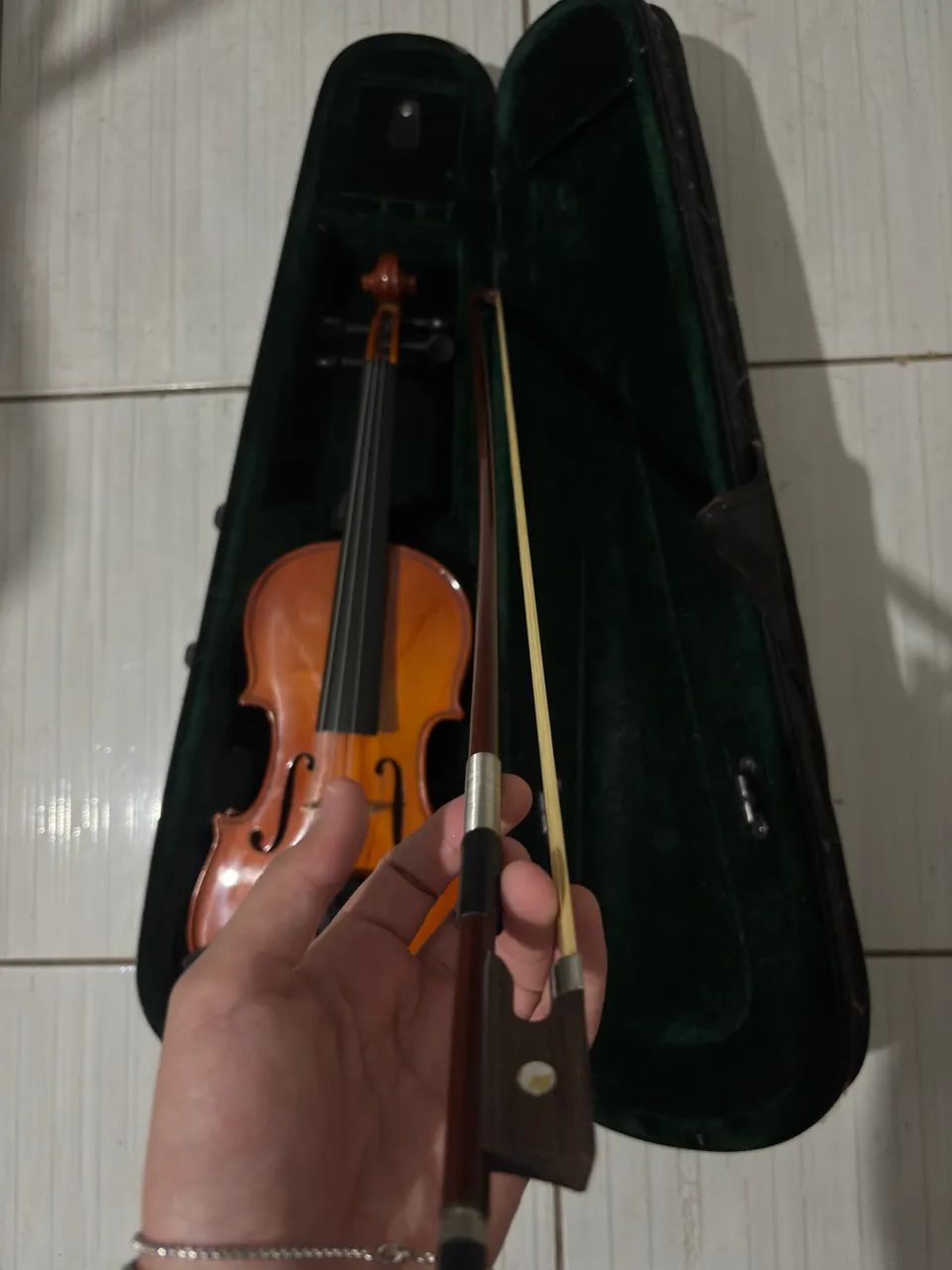 Violino parrot  - Foto 2