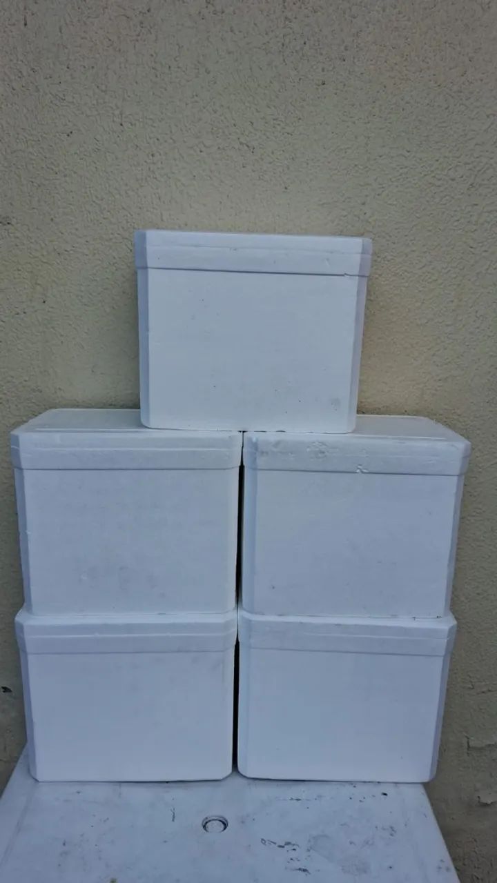 Isopor Térmico de alta qualidade - Foto 4