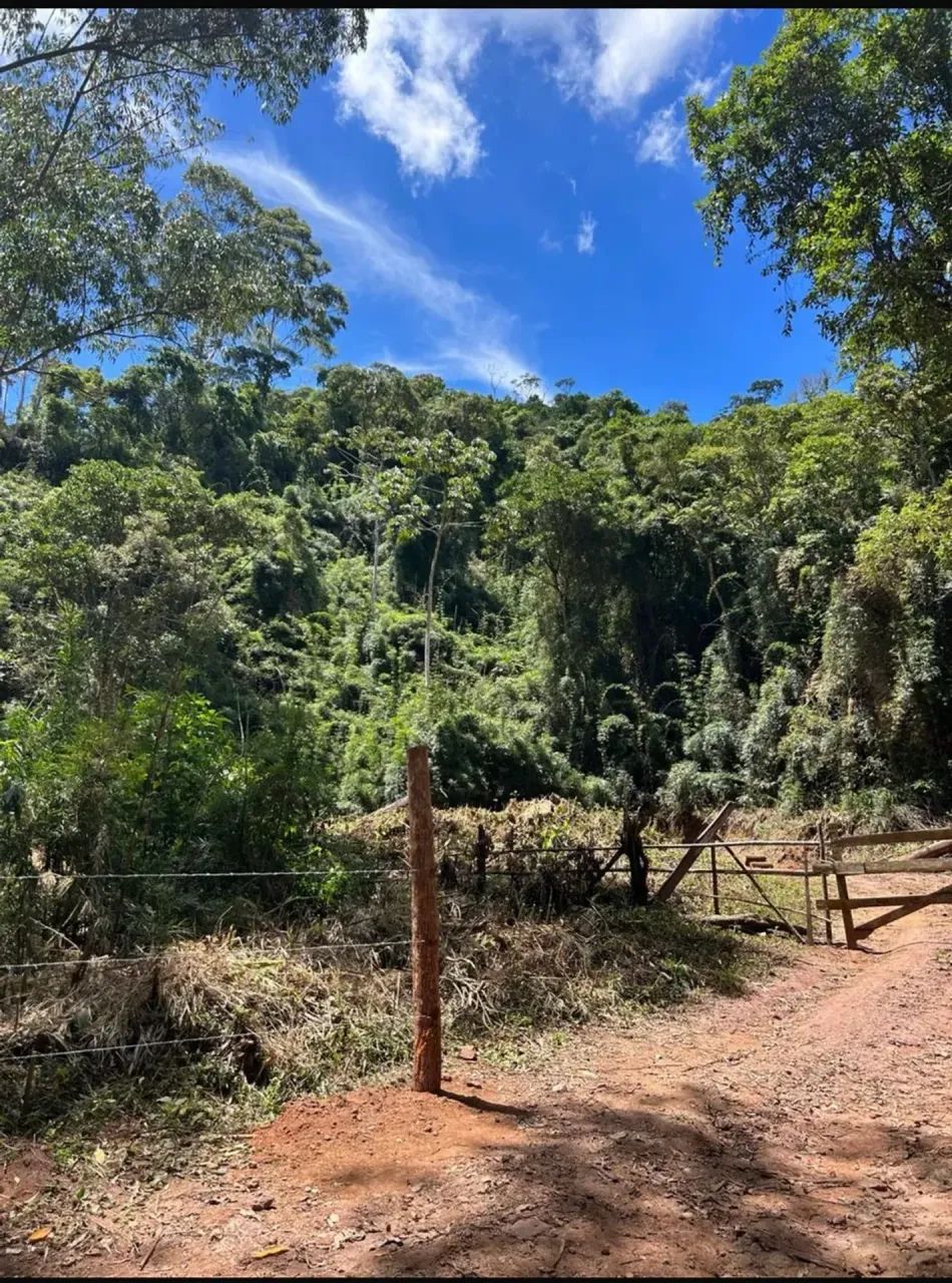ÁREA RURAL - NOVA FRIBURGO - Foto 3