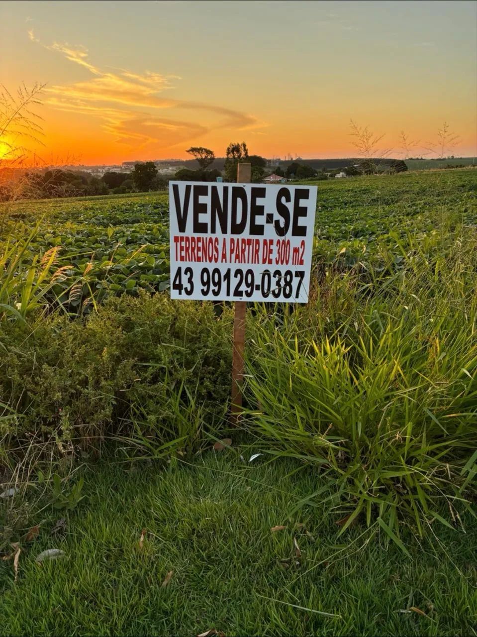 Foto - Assis Chateaubriand - Jardim América