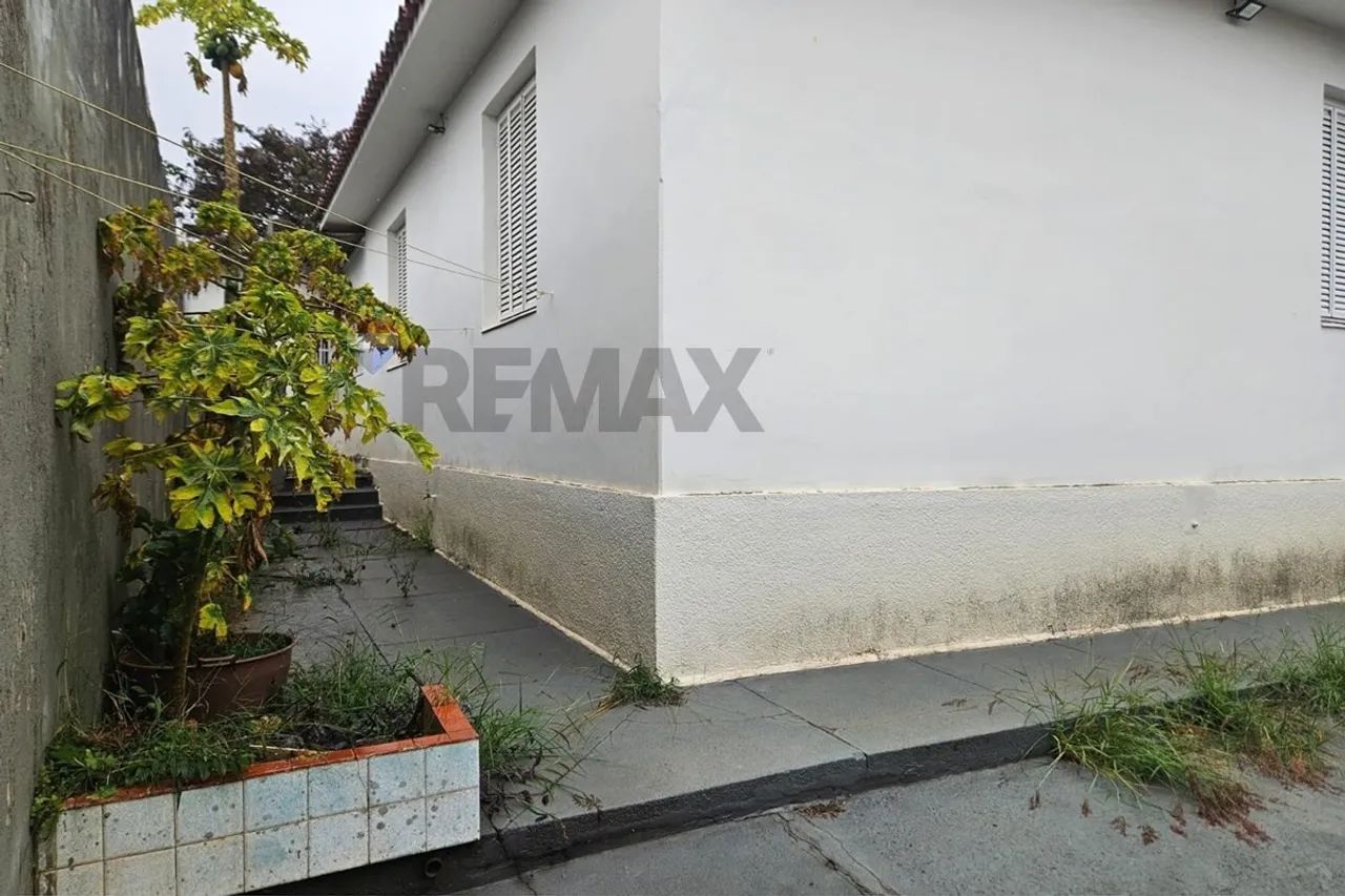 RE/MAX Aluga Casa térrea, residencial ou comercial em Campinas - Miami Store - Campinas - Foto 4