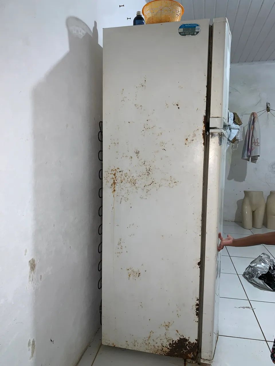 Geladeira  - Foto 2