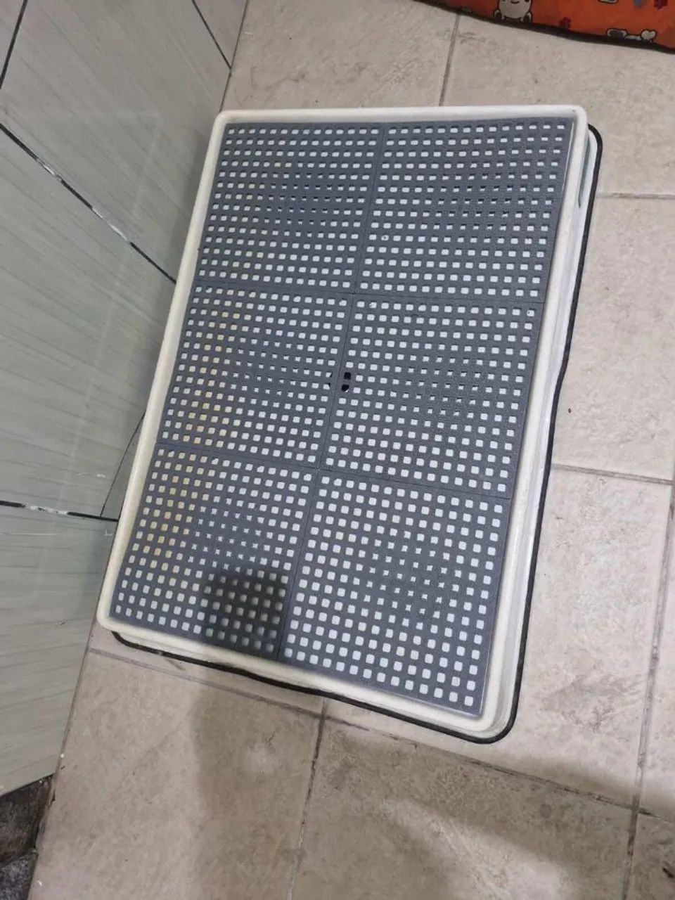 Weasy Dog grande  - Foto 3