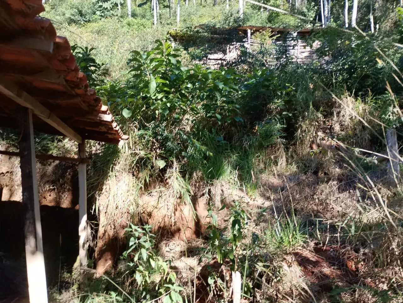 Sítio/terreno - Foto 2