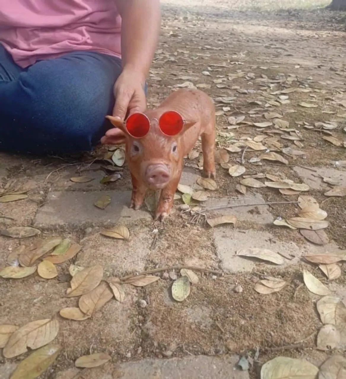 Mini ?