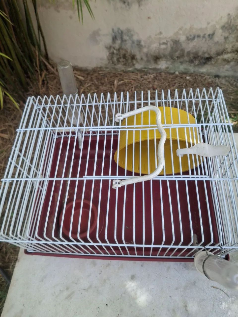 GAIOLA PARA HAMSTER BÁSICA  - Foto 3