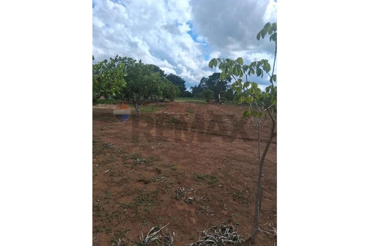 Chácara Produtiva à Venda em Uberaba, MG! - Foto 2