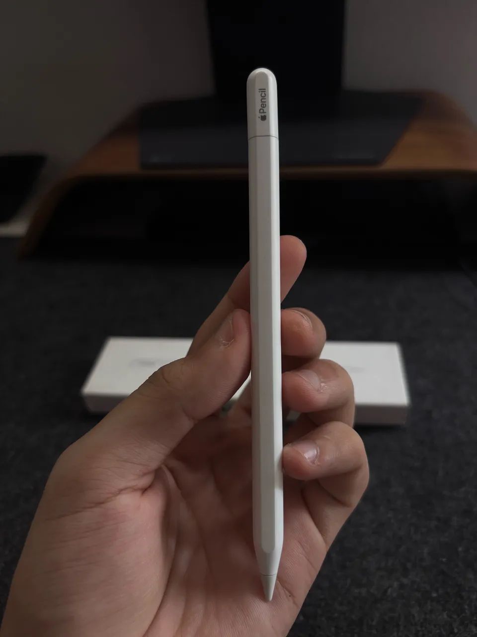 Apple Pencil | USB C | Original Apple - Tablets e E-Readers