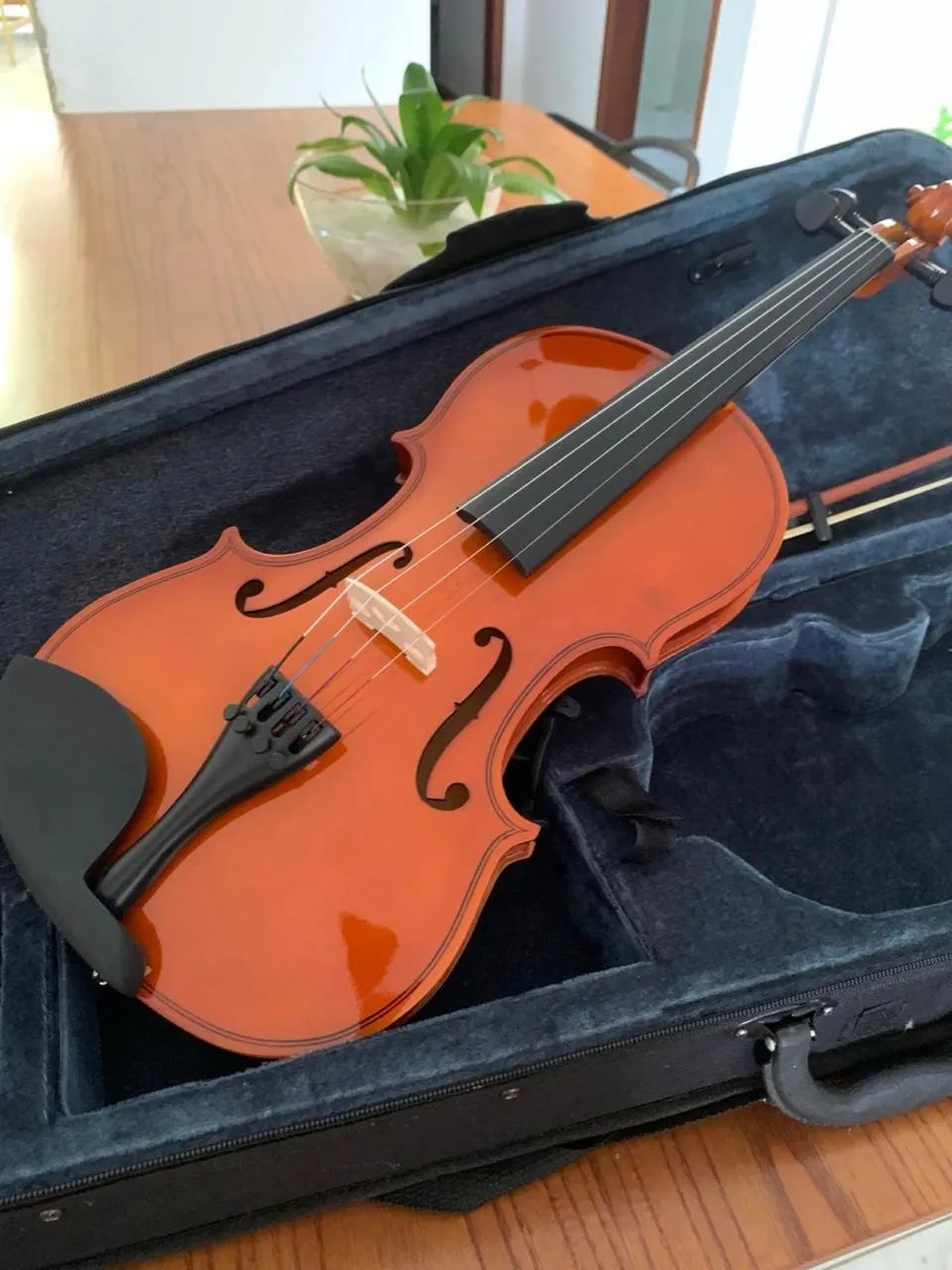 Violino 