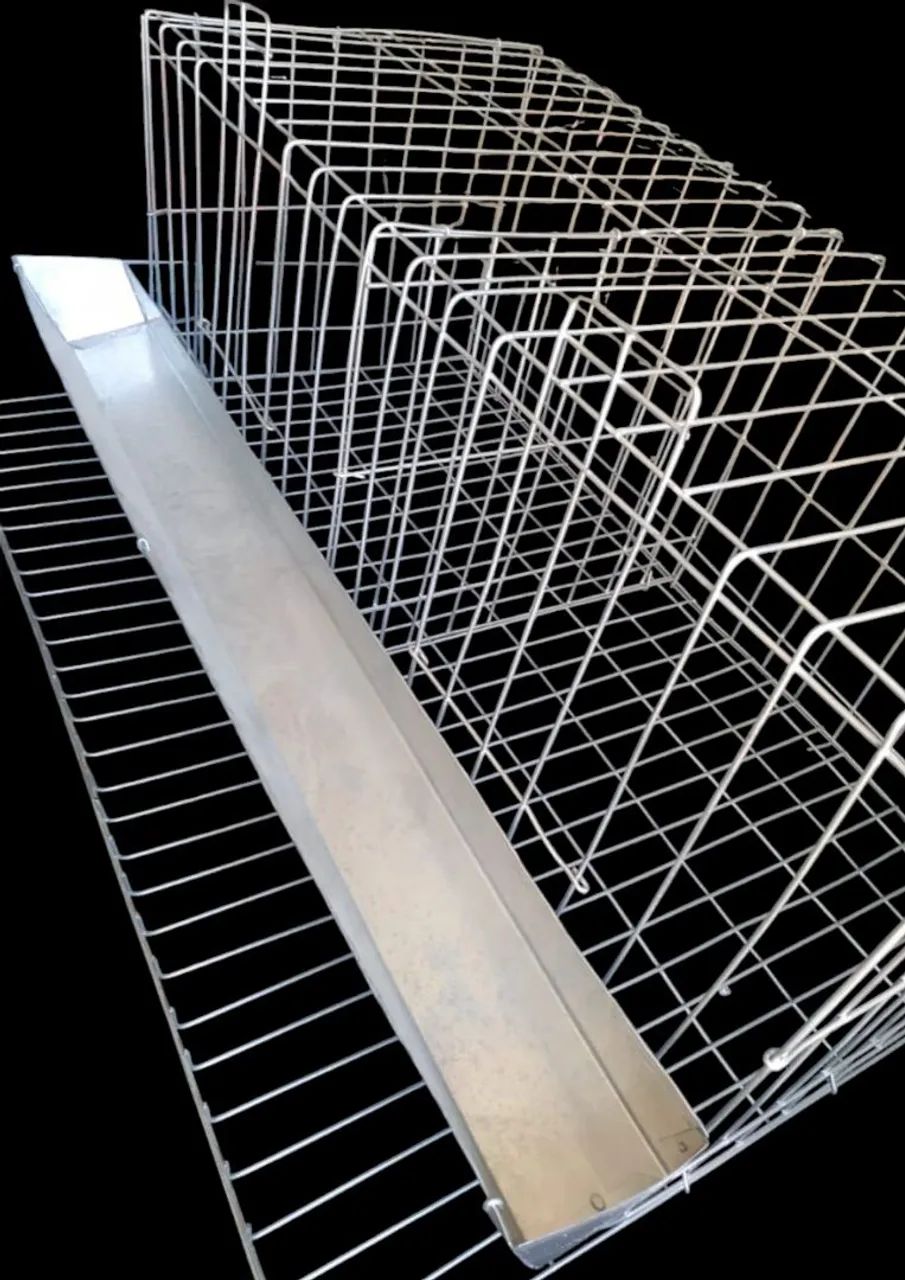 Bateria de Gaiolas para Galinha - Foto 4