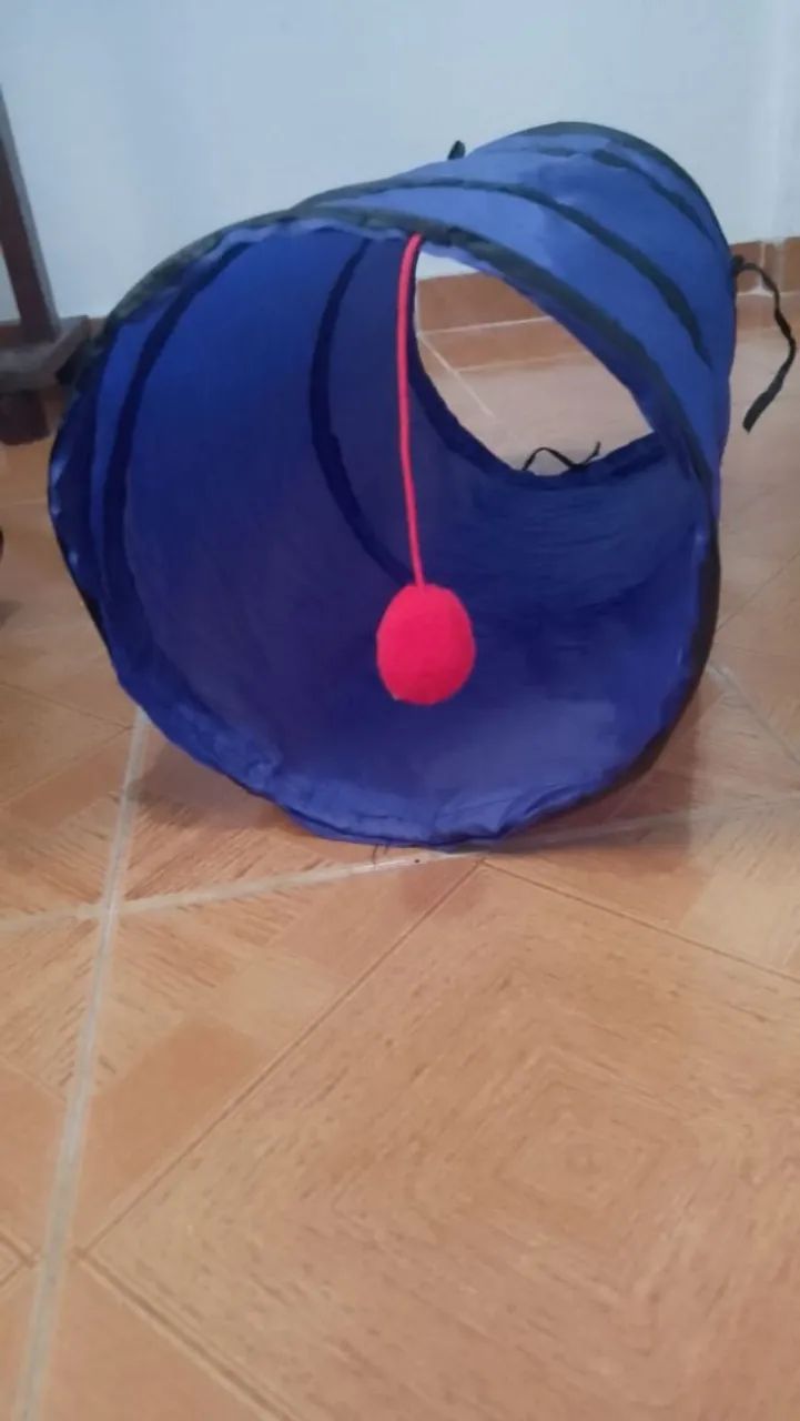 Kit para pet - Foto 4