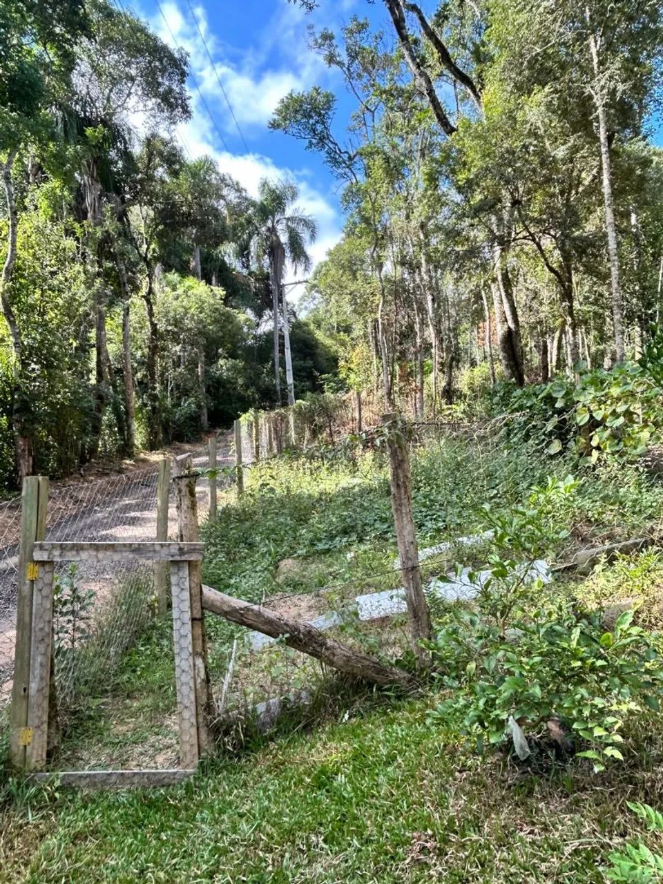 Chácara em Mandirituba - PARANÁ  - Foto 3