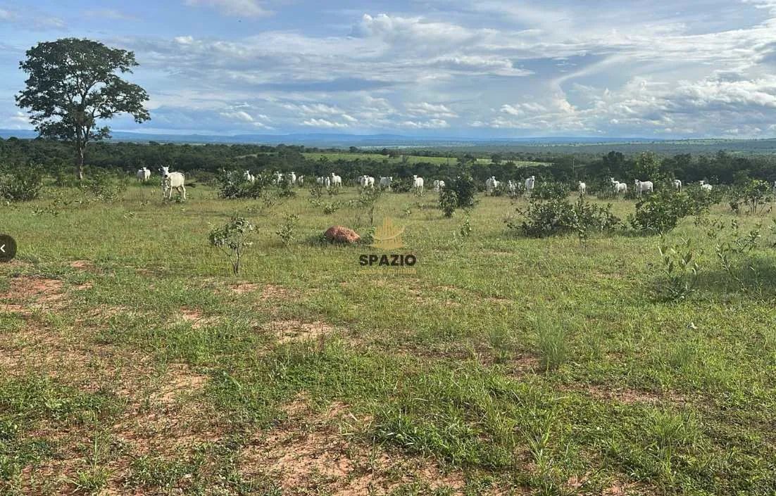 Fazenda, Aldeia, Acorizal - R$ 11 mi, Cod: 169