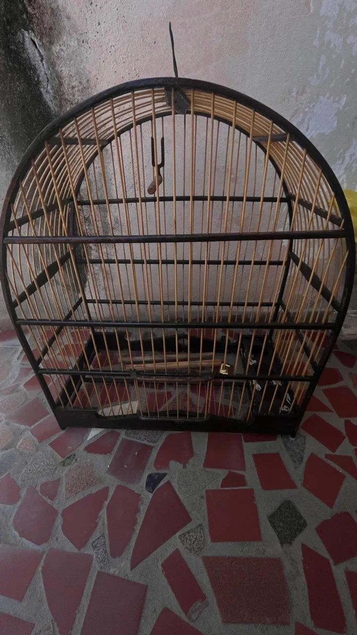 Gaiola - Foto 5