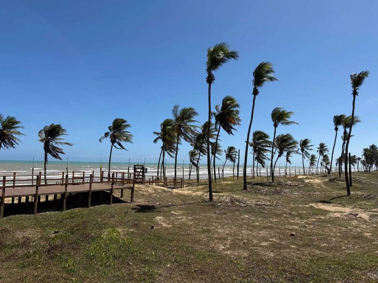 LOTE NO MARES MALUÍ [59970] - Foto 5