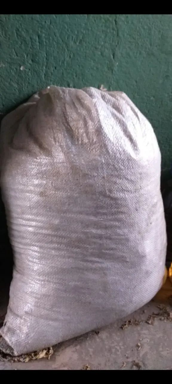 Esterco bovino 