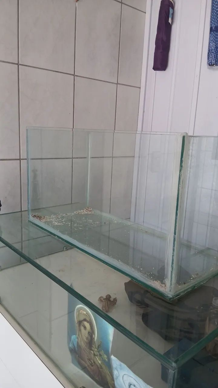 Aquário  - Foto 2