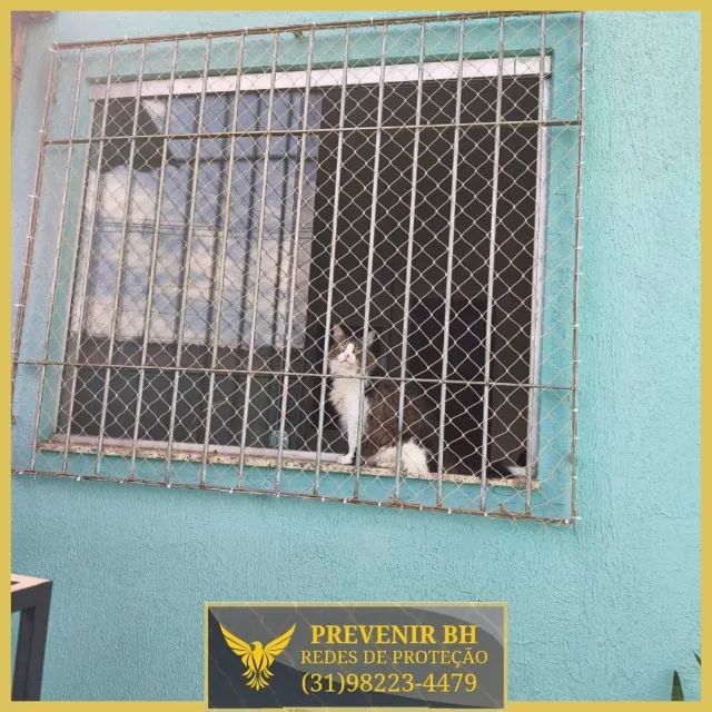 rede proteção para gatos - Foto 4
