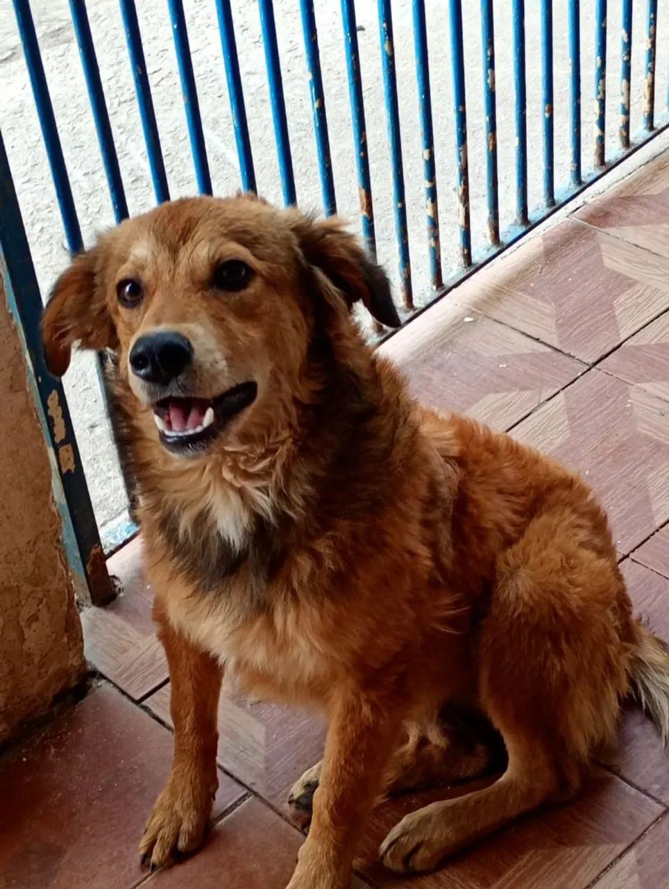 Doação  - Foto 4