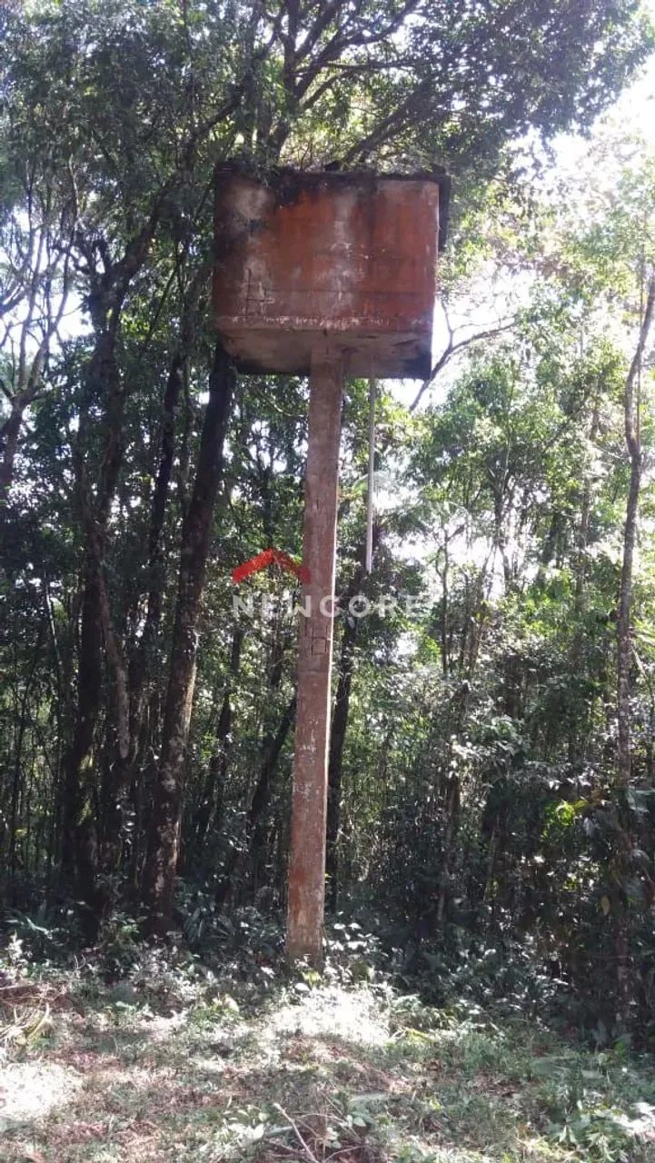 Sítio em Estrada do Capivari - Capivari - São Bernardo do Campo/SP - Foto 4
