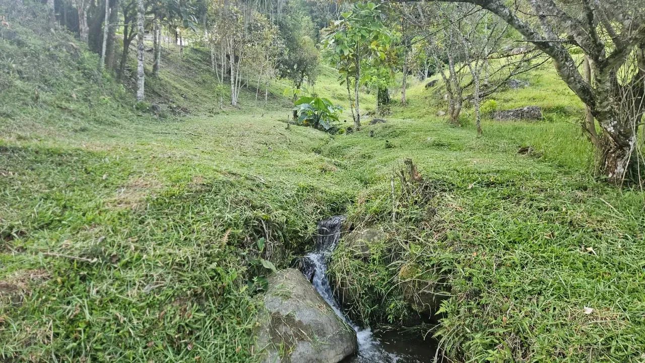 Sitio com linda vista  proximo de Rancho Queimado! - Foto 5