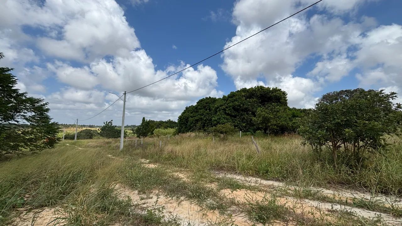 Lote para venda  - Foto 4