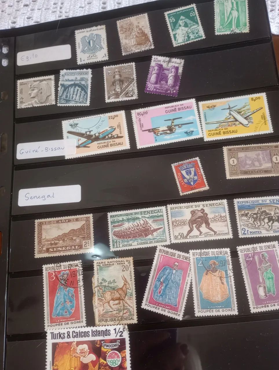 Selos africanos  - Foto 4