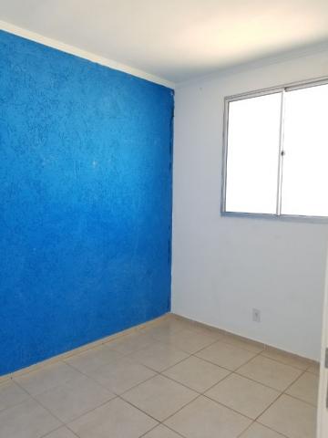 Apartamento - Foto 14