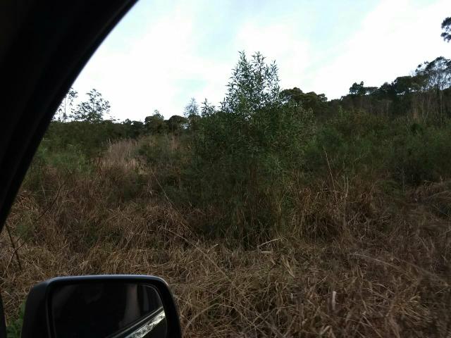 Fazenda para plantio - Foto 6