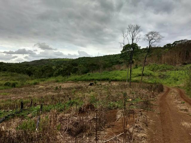 Fazenda para plantio - Foto 16