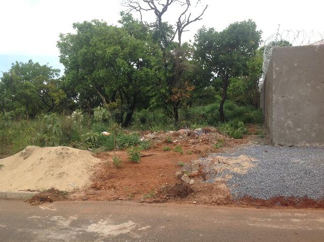 2 lotes juntos 600 metros cada 15 por 40cada na avenida,próximo do centro. - Foto 6