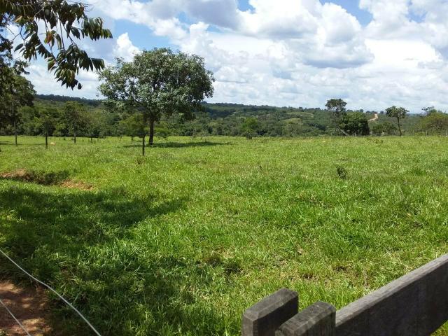 Vendo chácara no município de caldas novas - Foto 3
